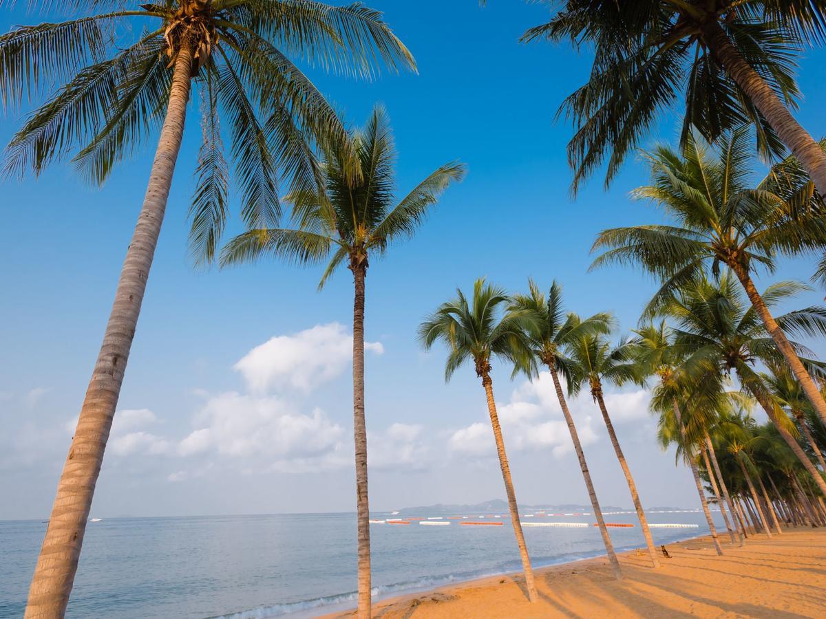 Ferienwohnung Dusit Grand Park Jomtien Beach Exterior foto